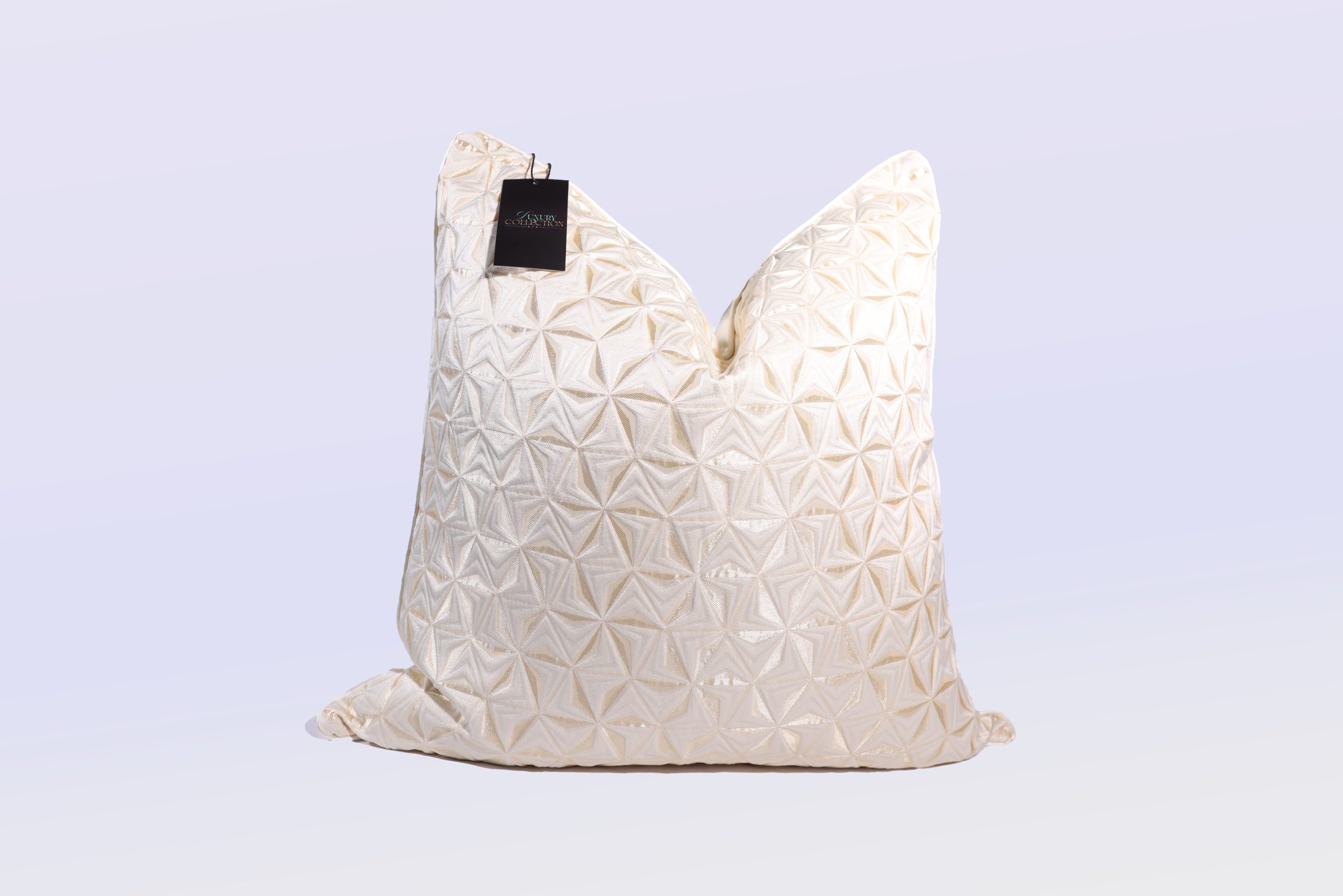 Pearl Swirls - 24" Square Luxury Collection Pillow Case w/Hidden Zipper (insert not included)